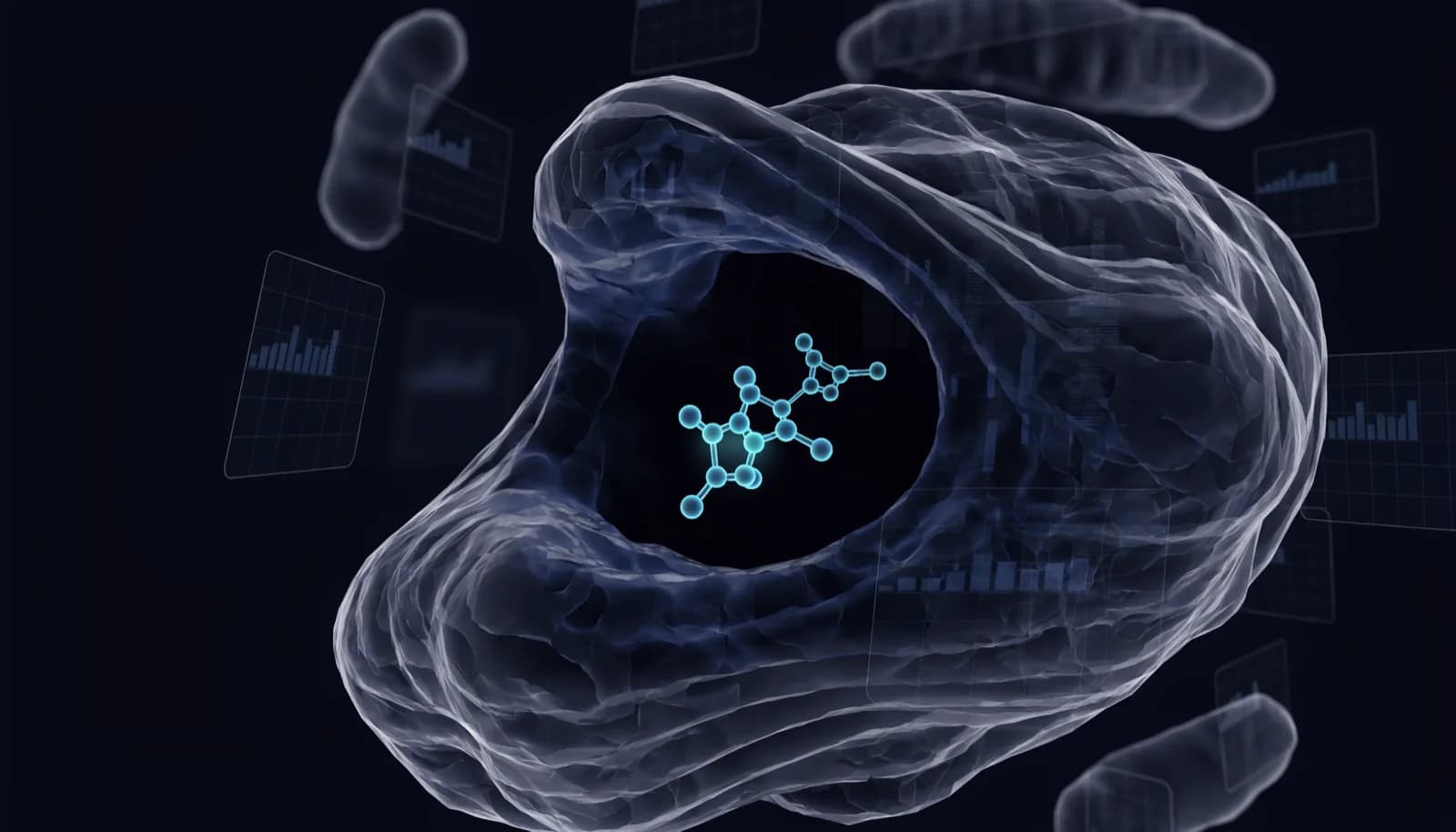 Three-dimensional protein structure with a ligand bound inside its binding pocket